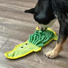 Hundeschnüffelteppich