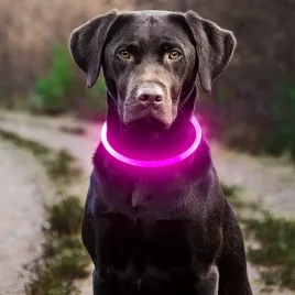 Verstellbares LED-Hundehalsband