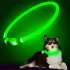 Verstellbares LED-Hundehalsband