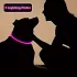 Verstellbares LED-Hundehalsband