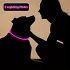 Verstellbares LED-Hundehalsband