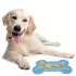 Anti-Stress Schleckschale für Hunde
