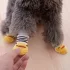 Rutschfeste Weihnachts-Haustiersocken für Hunde und Katzen