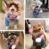 Halloween Tödliche Puppe Haustier Hundekostüm