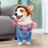 Halloween Tödliche Puppe Haustier Hundekostüm