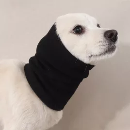 Hundekopfbedeckung