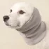 Hundekopfbedeckung
