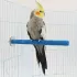 Krallen-Schleifstab für Vögel