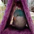 Bequeme Plüsch-Vogelnest - Warmer Hängematten-Zelt für Papageien und kleine Vögel