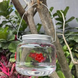 Dekorativer Vogeltränke für draußen