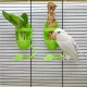 Bequeme Vogel-Futterstation, Perfektes Vogelkäfigzubehör