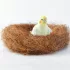 Vogelnest aus natürlicher Kokosfaser