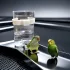 Vogelhäuschen und Wasserspender - Ideal für Käfige