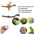 5 Stück Vogel Sitzstange, Naturholz