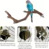 5 Stück Vogel Sitzstange, Naturholz