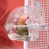 Transparente Kunststoff-Vogelbadewanne mit Hakenbefestigung