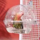 Transparente Kunststoff-Vogelbadewanne mit Hakenbefestigung