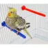 4 Bunte Sitzstangen für kleine Vögel