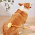 Hundetraining Stock