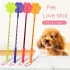 Hundetraining Stock