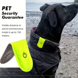   Reflektierende LED-Haustier-Sicherheitsleuchte, magnetisches Hundehalsband mit 150 m aktiver Leuchtkraft