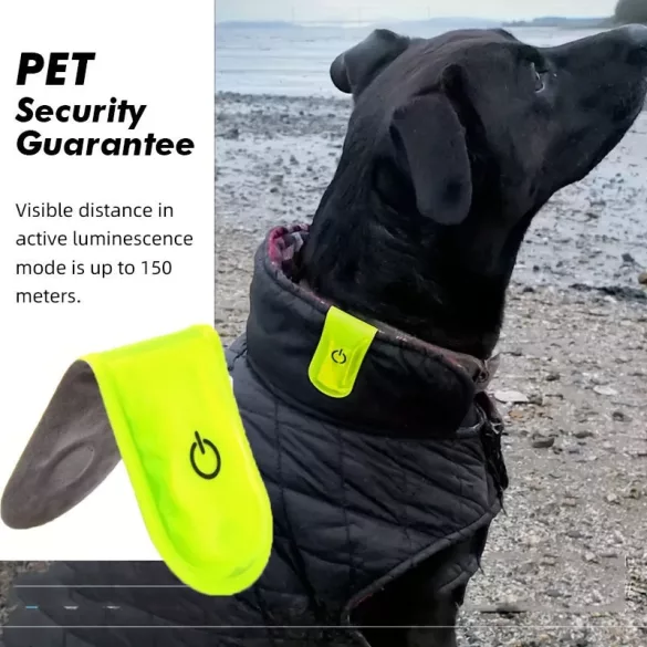 Reflektierende LED-Haustier-Sicherheitsleuchte, magnetisches Hundehalsband mit 150 m aktiver Leuchtkraft