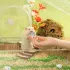 6er-Set eckige natürliche Nage-Steine für Hamster und Kaninchen