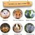 6er-Set eckige natürliche Nage-Steine für Hamster und Kaninchen