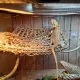 Hängematte für Reptilien