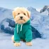 Neuer Kapuzenpullover für Hunde, mit Rückentasche, für kleine Hunde