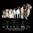 4er Set wasserdichte Hundeschuhe für kleine Hunde