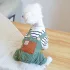 Gestreiftes Haustierkleid für Hunde und Katzen