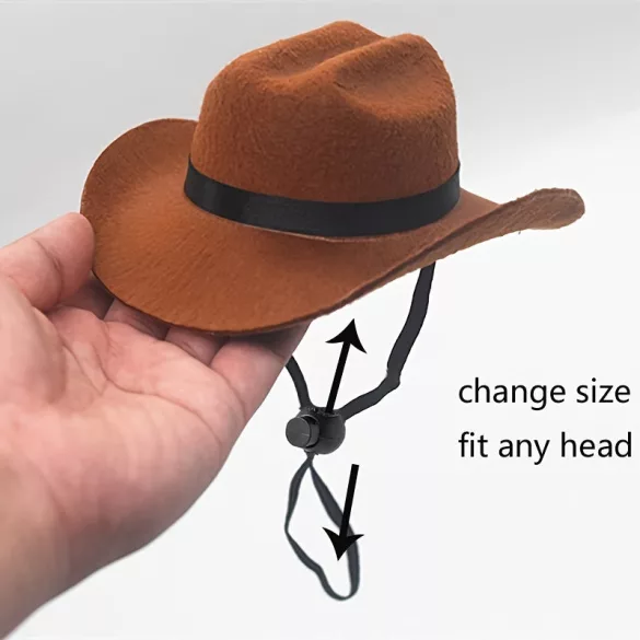 Katzen-Cowboyhut