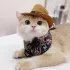 Katzen-Cowboyhut