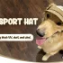 Verstellbare Baseballkappe für Hunde
