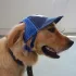 Verstellbare Baseballkappe für Hunde
