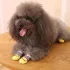 4er-Set Haustier Pfotenschutz Hundesocken