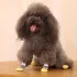 4er-Set Haustier Pfotenschutz Hundesocken
