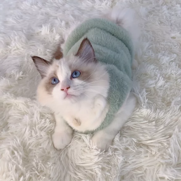 Bezaubernde Herbst- und Winter-Katzenweste
