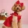 Bezauberndes Netzkleid mit Schleife für kleine Hunde