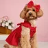 Bezauberndes Netzkleid mit Schleife für kleine Hunde