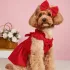 Bezauberndes Netzkleid mit Schleife für kleine Hunde
