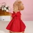 Bezauberndes Netzkleid mit Schleife für kleine Hunde