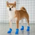 Wasserdichte Welpenstiefel mit rutschfester Sohle