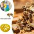6er-Pack Bienen- und Wespenfalle
