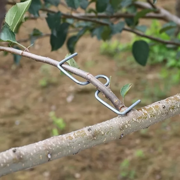 20-teiliges Gartengeräteset, langlebiger Obstbaumzweig-Bieger, Pflanzenwachstumsformer
