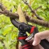 Professionelle Titan-Bypass-Schere - Super Scharfe Premium Gartenschere