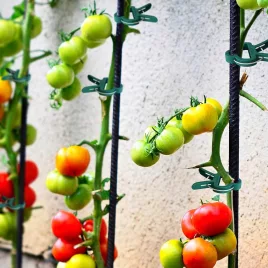 20er Pack Verstellbare Gartenclips