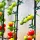 20er Pack Verstellbare Gartenclips