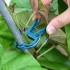 20er Pack Verstellbare Gartenclips